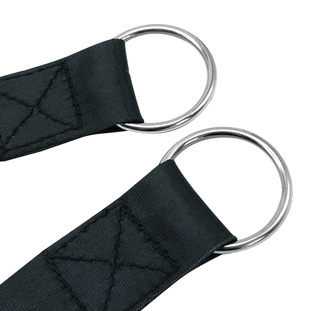 Dog Training Supplies Leashes