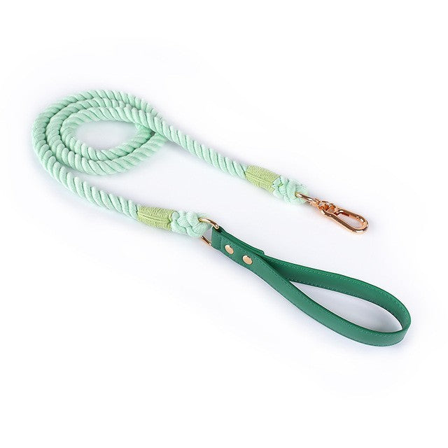 Leather Pet Leash Collar