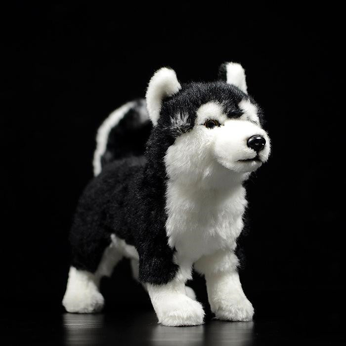 Mandarin Eyes Husky Dog Plush Toys