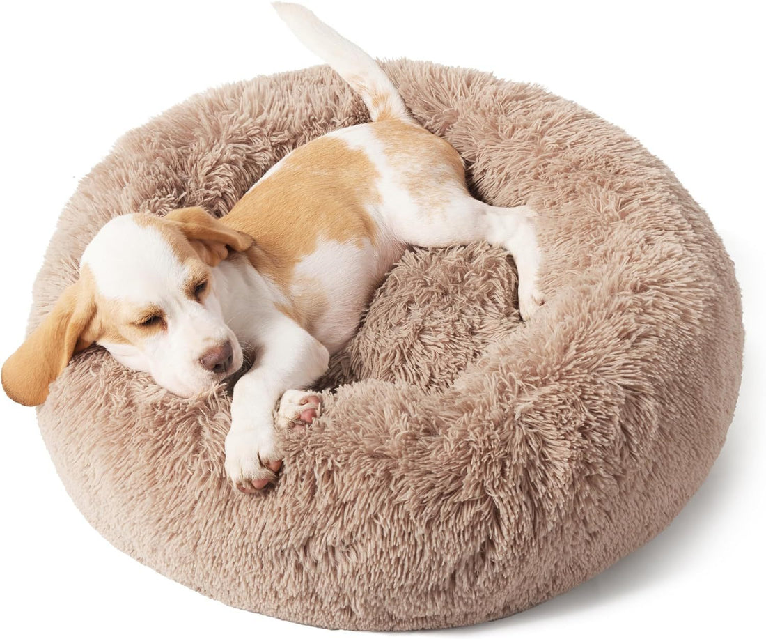 Indoor Solid Color Fluffy Plush Pet Bed