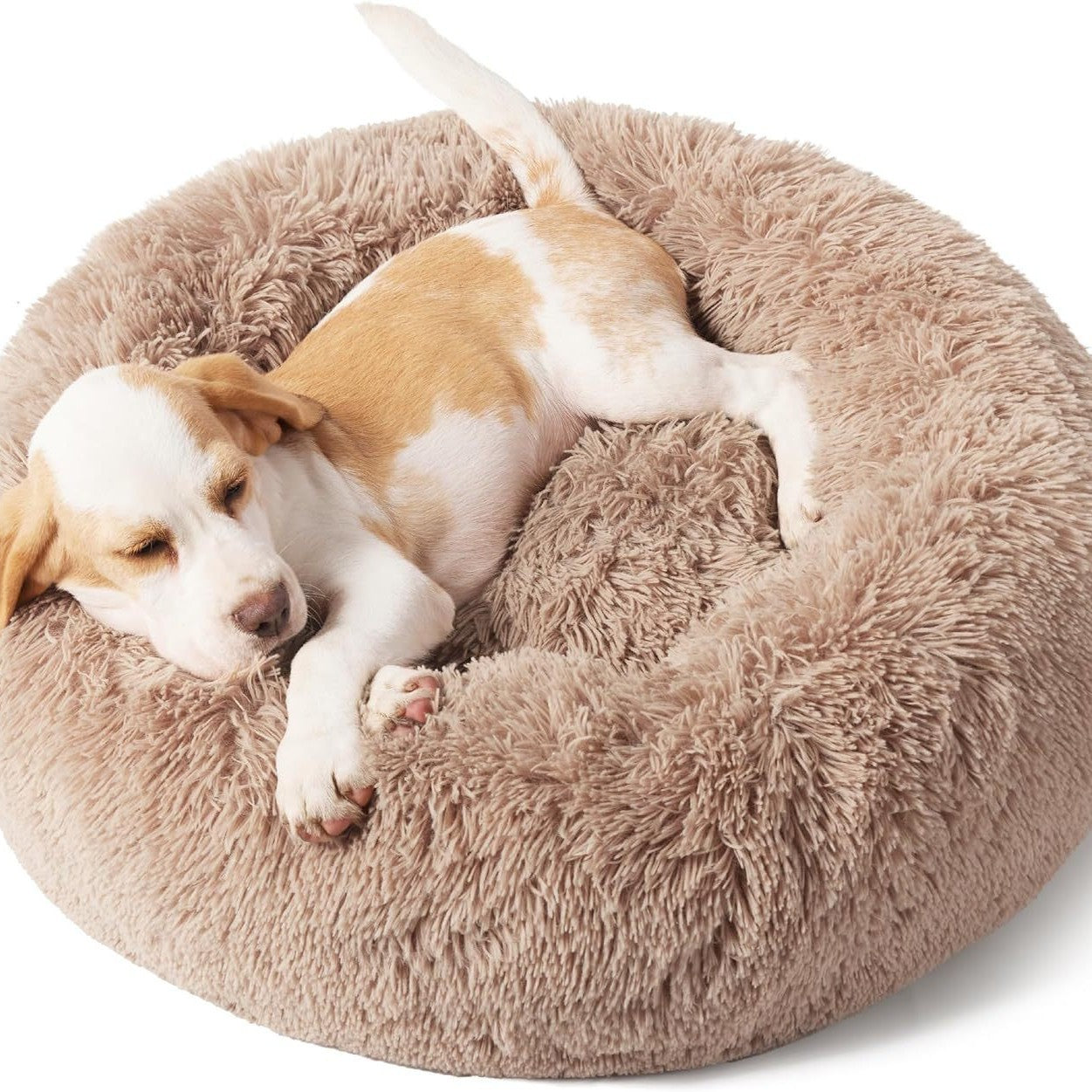 Indoor Solid Color Fluffy Plush Pet Bed