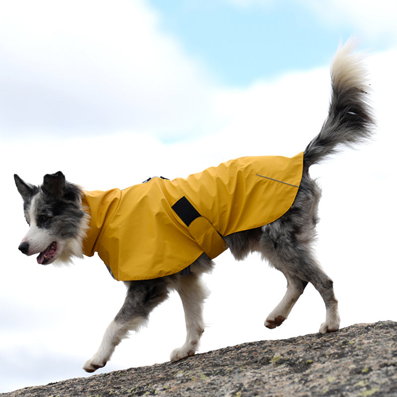 Pet Waterproof Windproof Raincoat